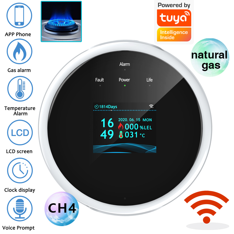 Home Security Upgrades - Sensor Alarm Gas WiFi 2.4G Detektor